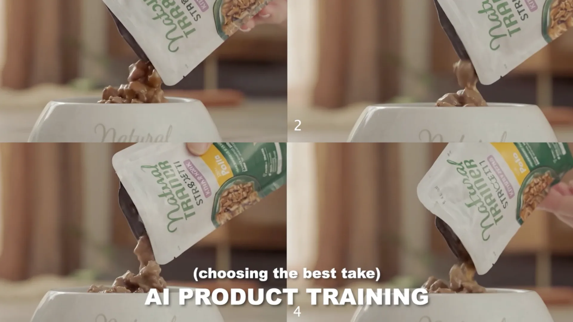 Affinity Natural Trainer, AI product training: choosing the best take