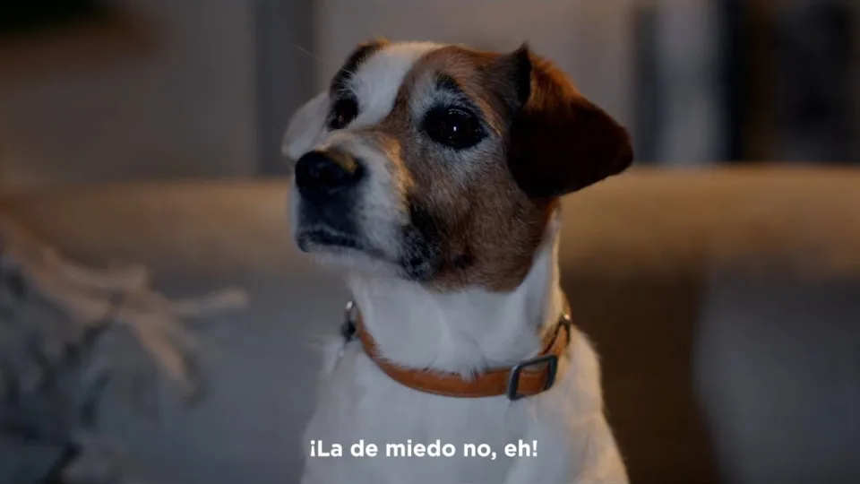 Cofidis, directed by Humbert Aparicio