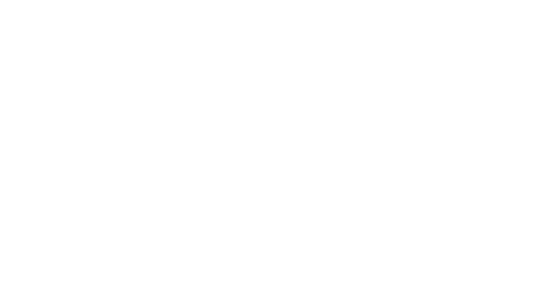 Pingüino Torreblanca