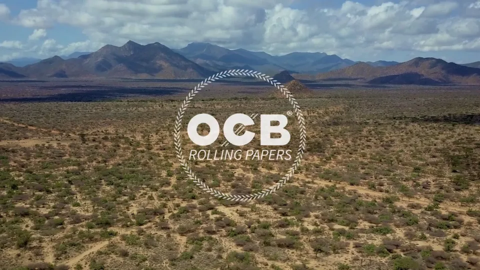 OCB – The roots of Kenya, dirigido por Marc Morera