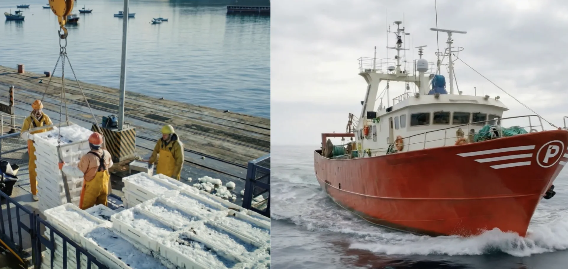 Pescanova commercial: crew unloading fish crates on a quay and a red trawler at sea