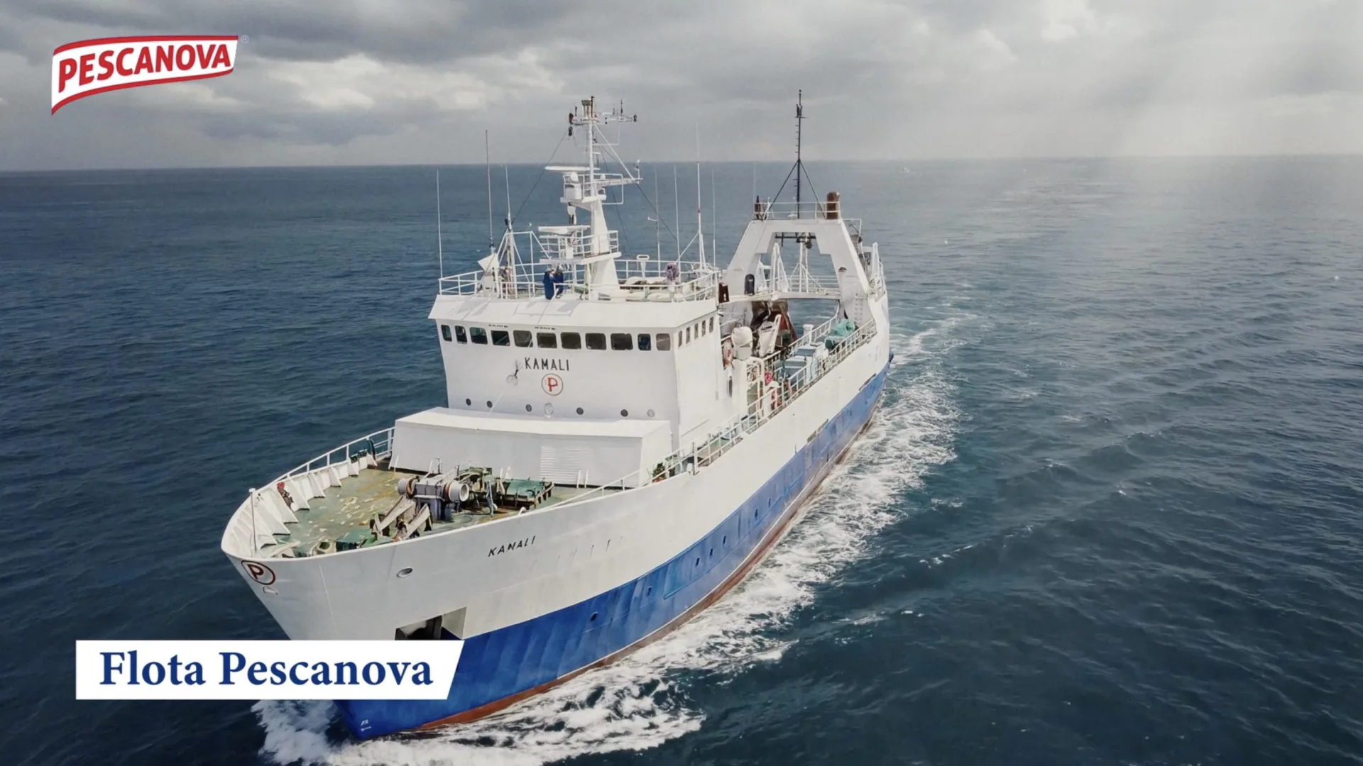 Pescanova fleet: aerial view of a trawler sailing on the open sea