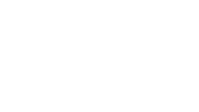 Evidenze