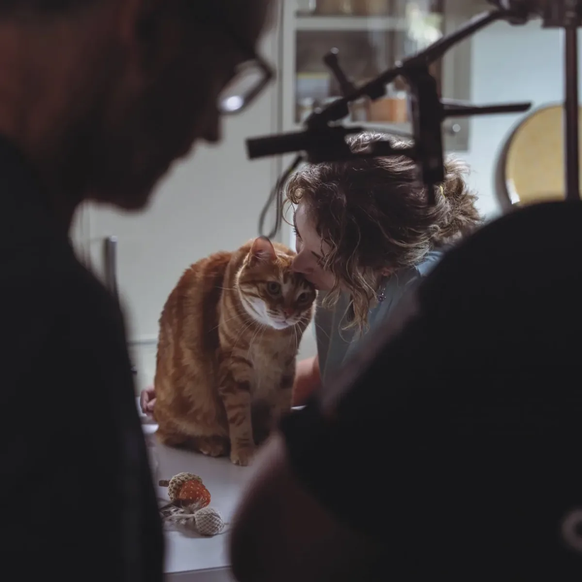 El equipo de Glassy Films en el set con un gato naranja sobre la mesa