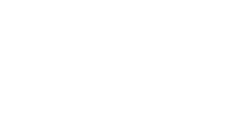 Airbus