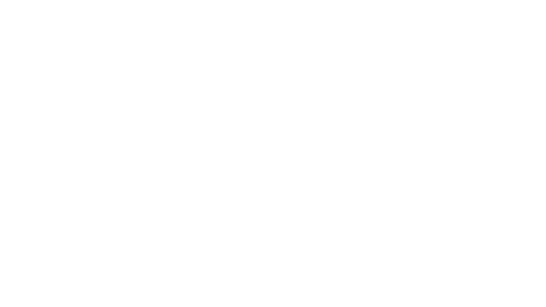 Heinz